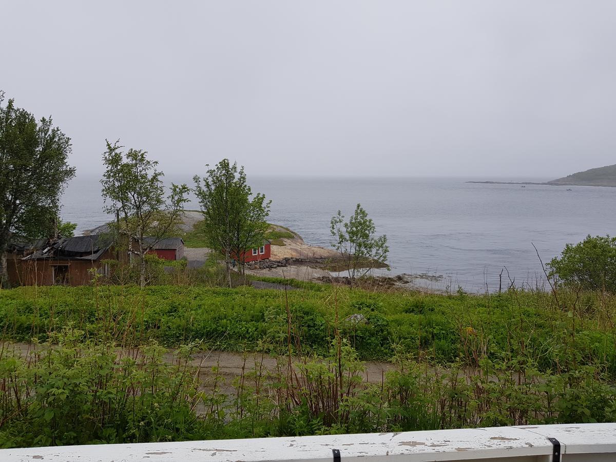 Camp Saltstraumen-Elvegard Hotel Bodo Exterior photo